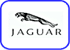Jaguar Wire information